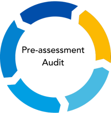 Pre-Assessment Audit