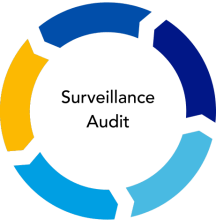 Audit surveillance